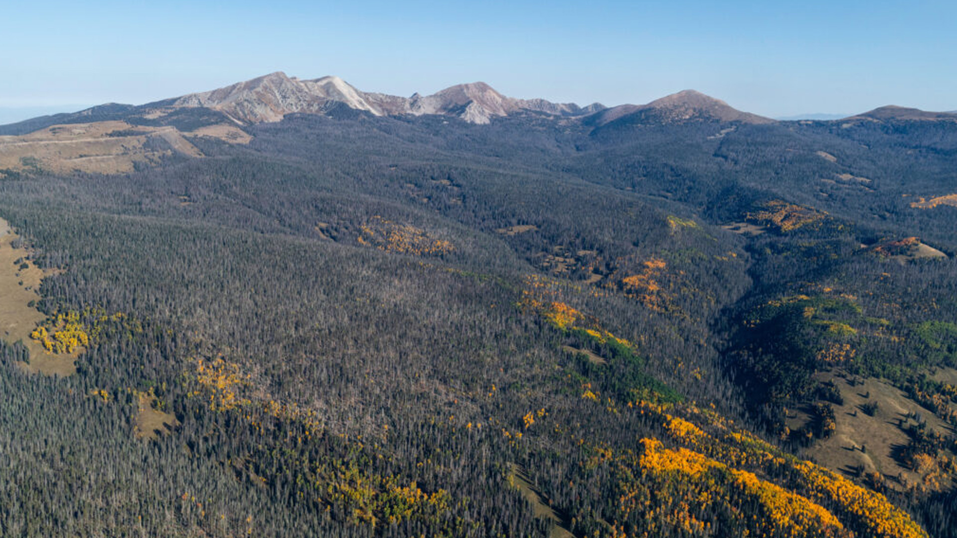 New Mexico delegation re-introduces bill to protect Pecos watershed