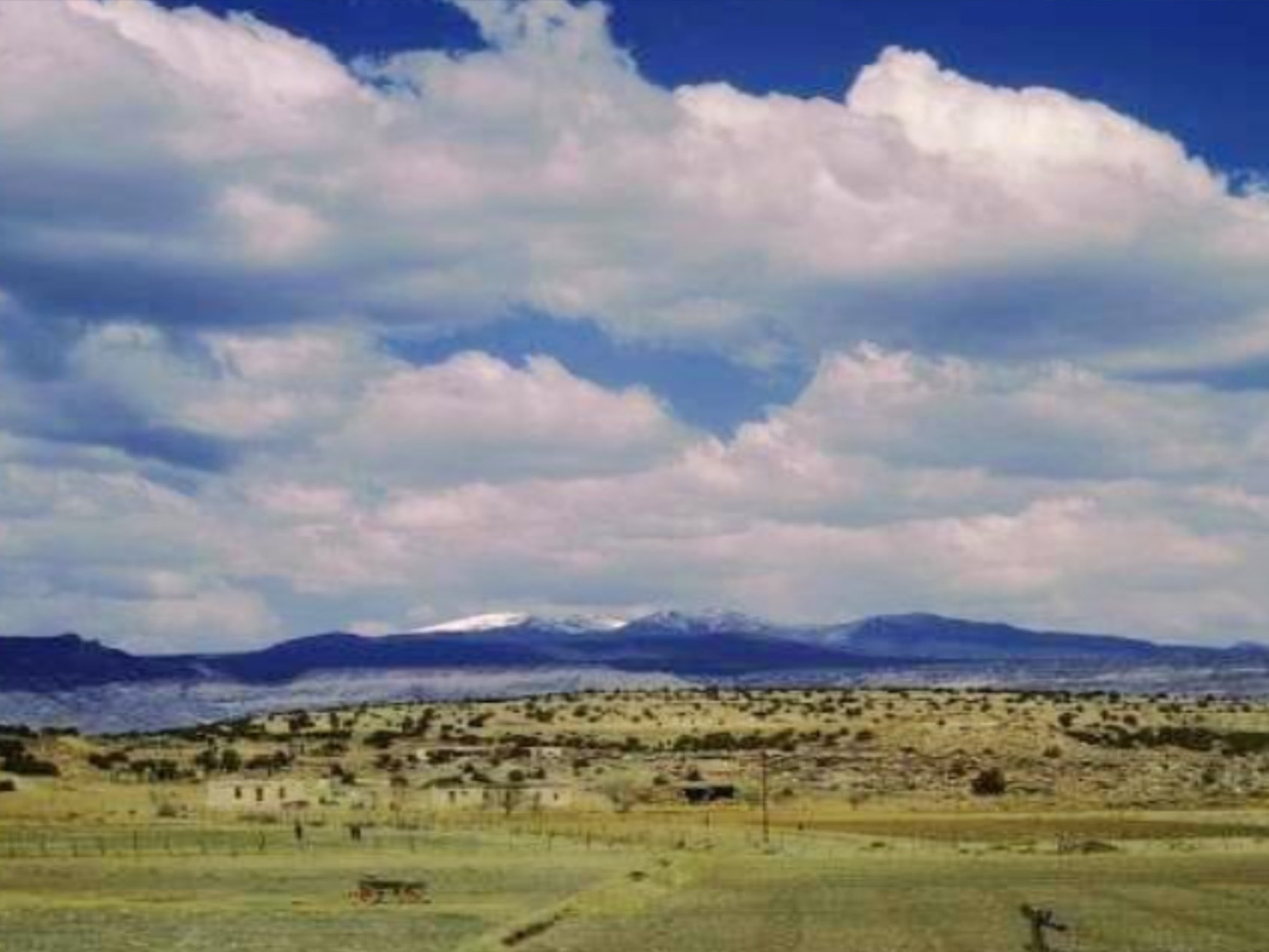 Protecting Mt. Taylor