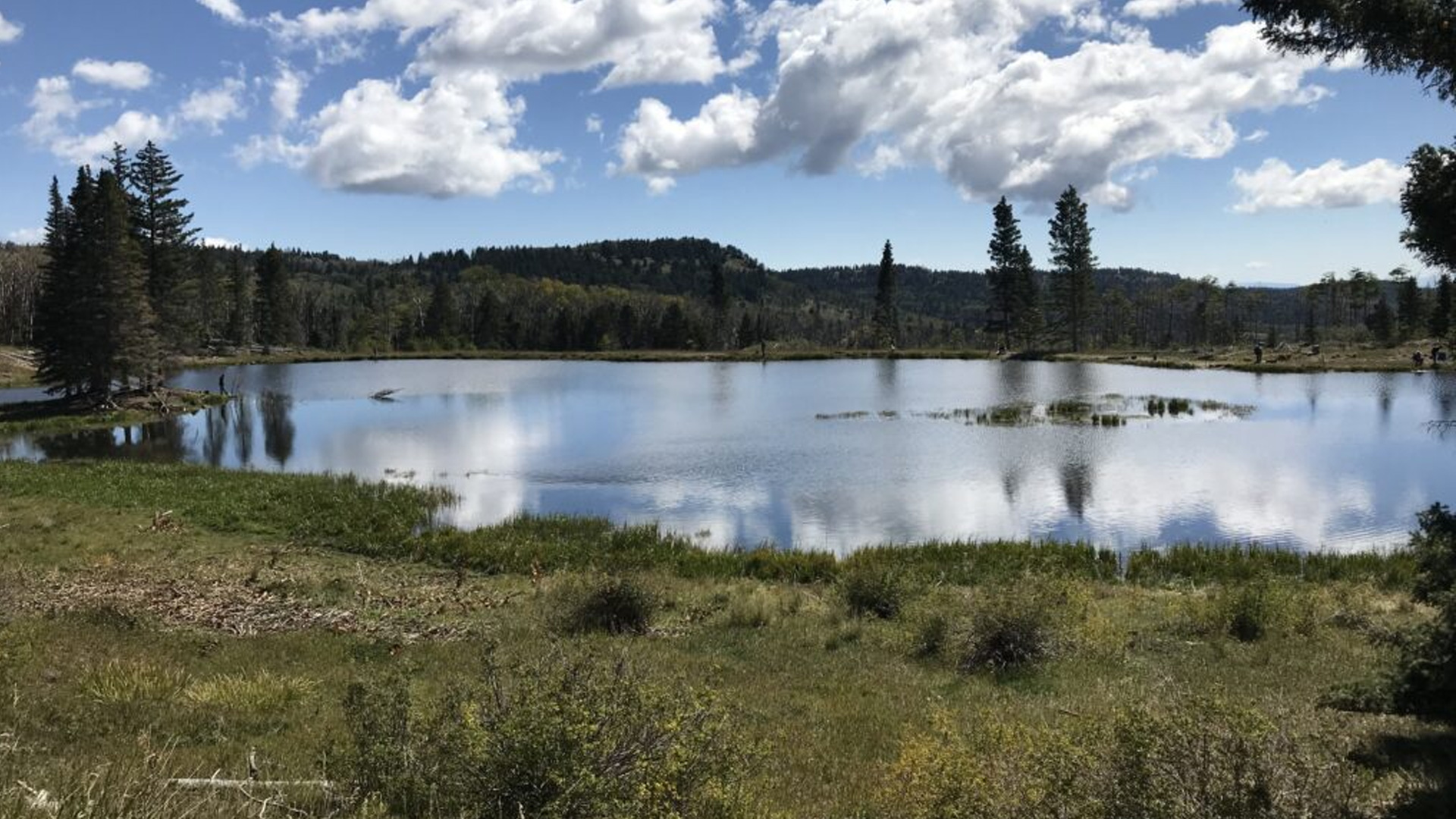 Canadian-based company seeks exploratory permit to drill uranium in northern New Mexico